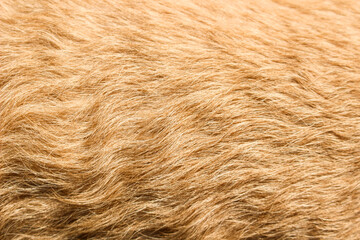 ブランドの毛皮