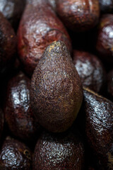 close up ripe brown hass avocado