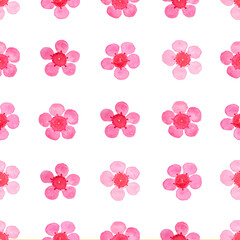 Pink Wax flower blossom seamless pattern illustration watercolor flora painting