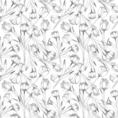 Seamless vector pattern with tulips outline on white background