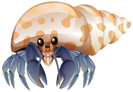 cartoon hermit crab with blue claws clip art preview