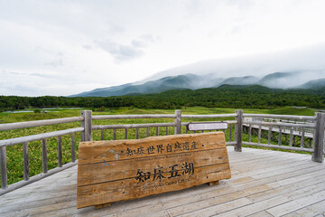 知床五湖散策 (日本 - 北海道 - 知床五湖)
