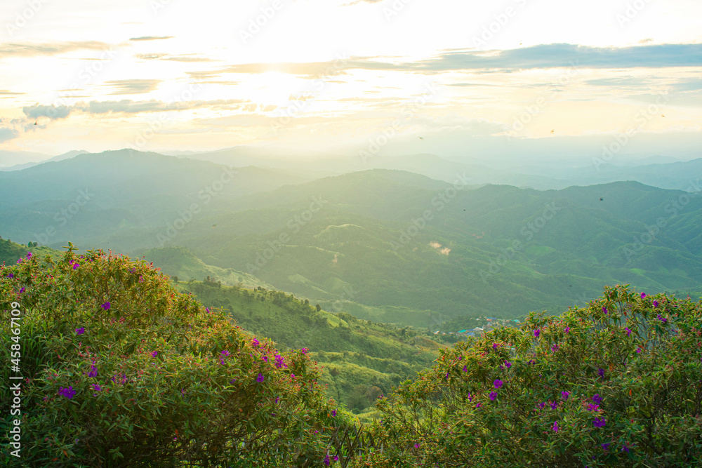 Canvas Prints sunset view on the top of the mountain in the forest nature