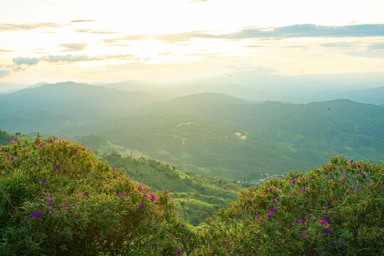 sunset view on the top of the mountain in the forest nature