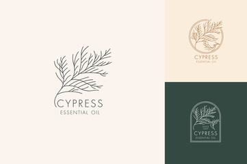 Vector linear set of botanical icons and symbols - cypress. Design logos for essential oil cypress. Natural cosmetic product.