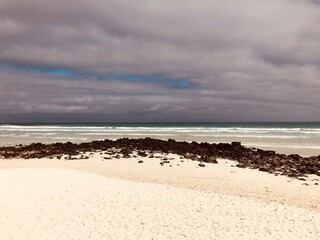 Tortuga Bay beach in Galapagos Islands, Isla Santa Cruz（トルトゥーガベイ, ガラパゴス諸島, サンタクルス島）