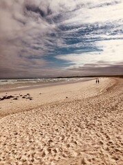 Tortuga Bay beach in Galapagos Islands, Isla Santa Cruz（トルトゥーガベイ, ガラパゴス諸島, サンタクルス島）