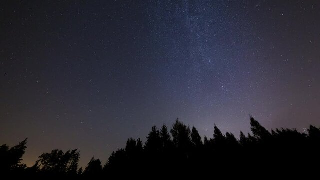4k night sky timelapse with stars over forest.