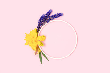 Round frame made of narcissus and muscari flowers on a pink pastel background.