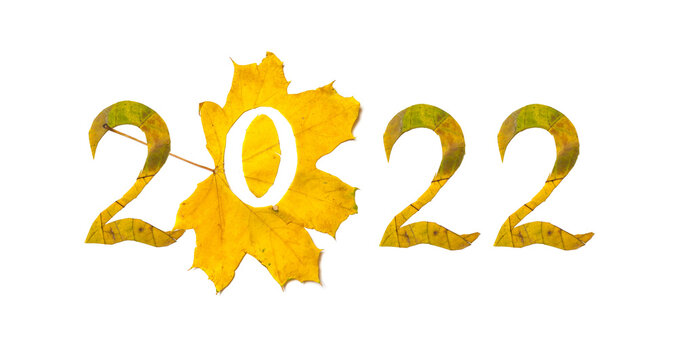 2022.numbers carved from yellow maple leaves
