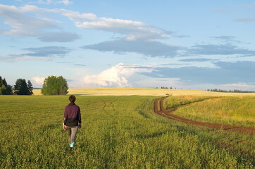 A girl walking along a field of clover, against a background of blue sky and clouds