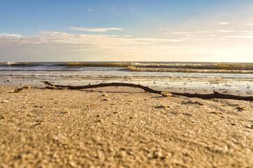 On the beach of Blåvand Denmark with sea view