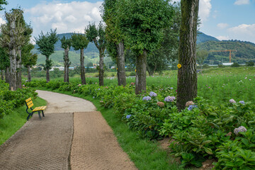 여유로운 산책길