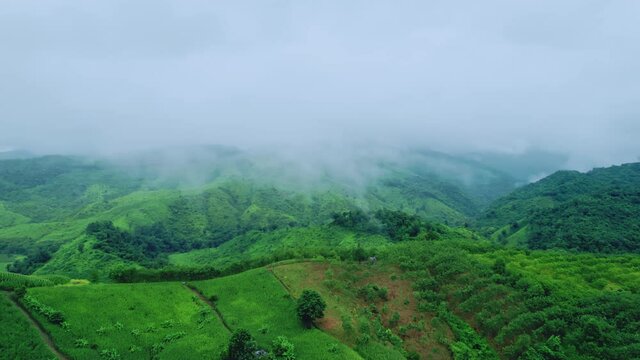 Aerial view drone shot of flowing fog waves on mountain tropical rainforest In the evening, Bird eye view image over the clouds Amazing nature background with clouds and mountain peaks.