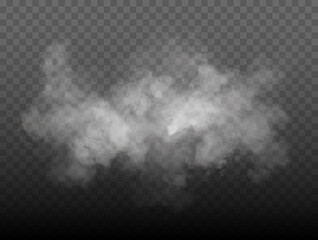 Fog or smoke isolated transparent special effect. White vector cloudiness, mist or smog background. Vector illustration - 458475197