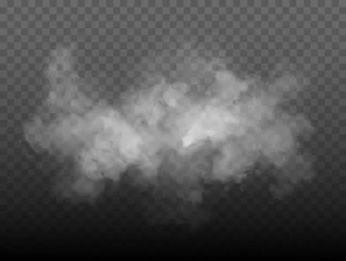 Gordijnen Fog or smoke isolated transparent special effect. White vector cloudiness, mist or smog background. Vector illustration © ket4up