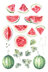 Watercolor illustration set – Watermelon