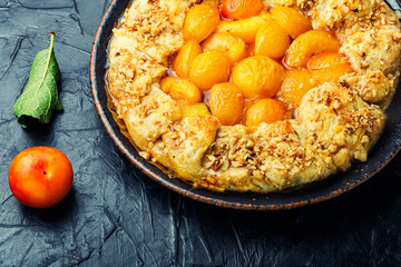 Autumn pie or biscuit with plum.