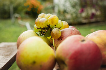 Juicy, healthy, ecological, autumn fruits on a small table in the garden