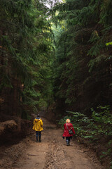Middle age couple in raincoats walking through forest