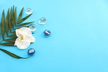 Arrangement of orchid flower and leaves on blue background