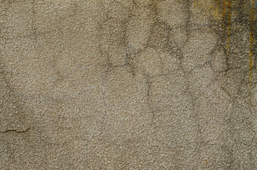 Wet grey cement texture