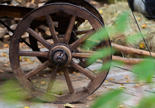 Wooden wheel of an old cart standing in the autumn forest