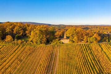 Bird's eye view of the vineyards near Frauenstein / Germany in the Rheingau in late autumn with the...
