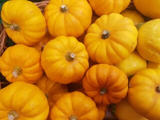 A bunch of mini pumpkins or baby pumpkins.
