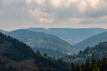 Fototapeta premium mountain slopes in the Ukrainian Carpathians. mountain tops and forests on a background of blue sky