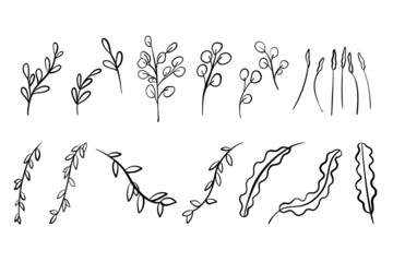 Obraz premium Foliage Eucalyptus and Leaves Vector Outline Illustration Set