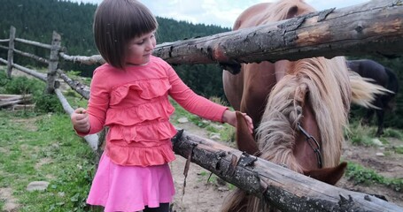 Little girl trying to feed horse in stud farm by forest