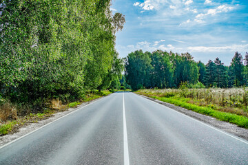Fototapeta na wymiar Empty asphalt road in the forest. Two-lane freeway in summer between trees.