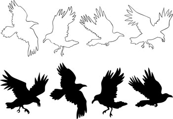Set of realistic raven vector silhouettes for icons. Hand drawn style