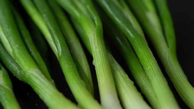 Close up of fresh green onions with water drops rotate on tray. Healthy and organic vegetables concept. Greens.