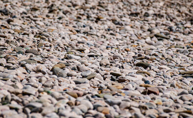 large round gray pebbles with multicolored inclusions and texture with a common background