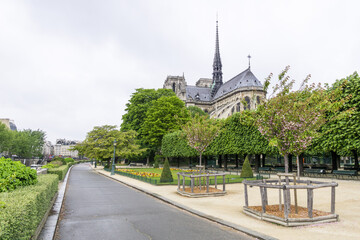 Beautiful view the famous Notre-Dame de Paris behind the picturesque green trees