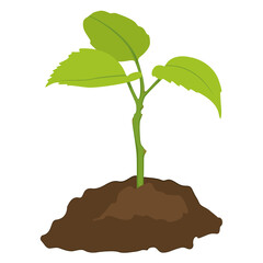 junge Pflanze im Erdhaufen