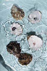 Top view of shells in the blue clear water, water drops.Background for beauty products.Holiday backdrop