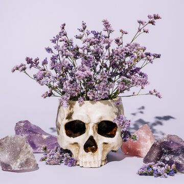 Human skull pot with lilac flower bouquet in it surrounded by amethyst stones and minerals on pastel lavender background. Creative Halloween or Sant Muerte concept. Spooky, horror and macabre idea.
