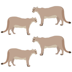 Set of grey-brown beige puma panther standing cartoon eyes without stroke