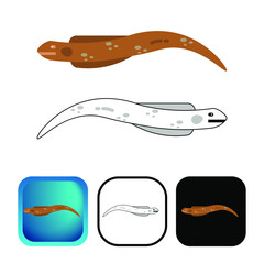 Flat Eel Animal Icon Collection