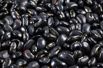 Black Eyed Peas background.