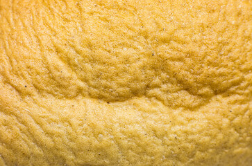Roasted Bread texture background. Loaf Bakery concept. Close up, macro photo. Beautiful natural wallpaper.