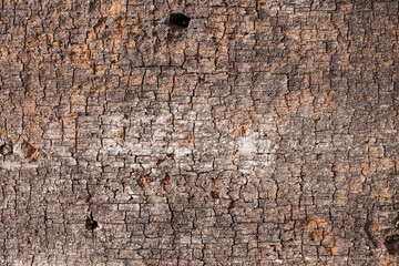 Background texture old  wooden board.