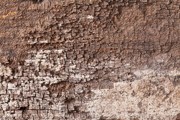 Background texture old  wooden board.