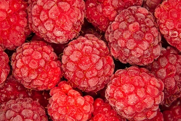 Framboises givrées