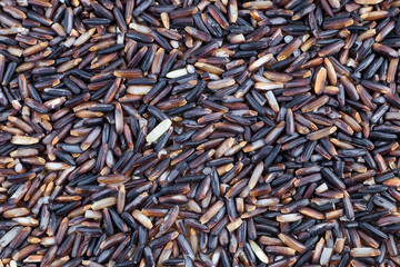Black rice berries background.