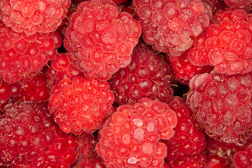 Framboises