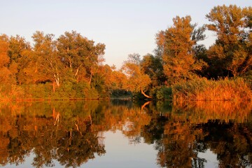 autumn trees reflected in water